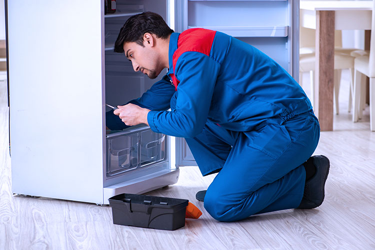 Single Door Fridge